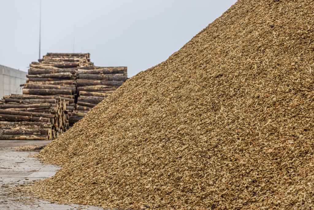 Logs and woodchip resized